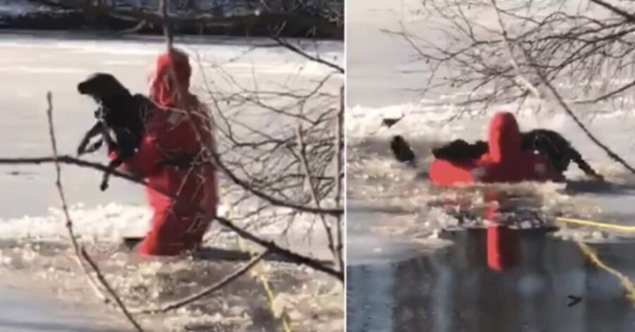 pompiere salva cane caduto nel lago