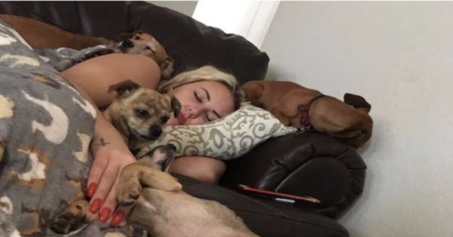 donna dorme con i suoi cani