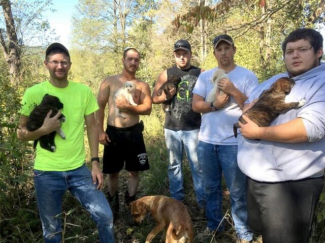 Uomini festeggiano addio al celibato e finiscono per salvare un cane e i suoi cuccioli