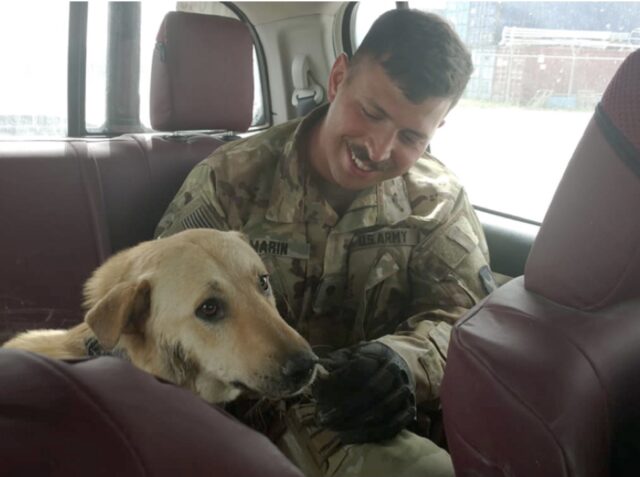 Il soldato si riunisce con il cane trovato in Iraq