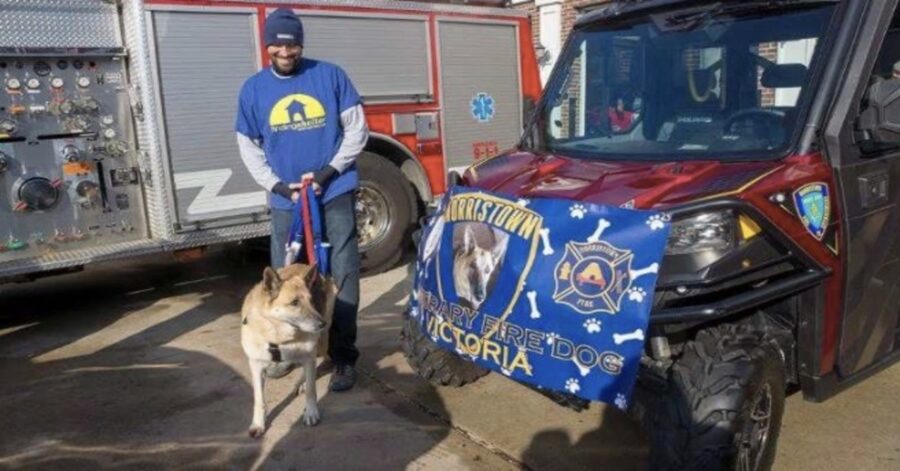 Cane vicino pompa dei vigili del fuoco