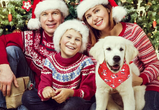 5 accessori a tema natalizio per cani, i più cool per Fido
