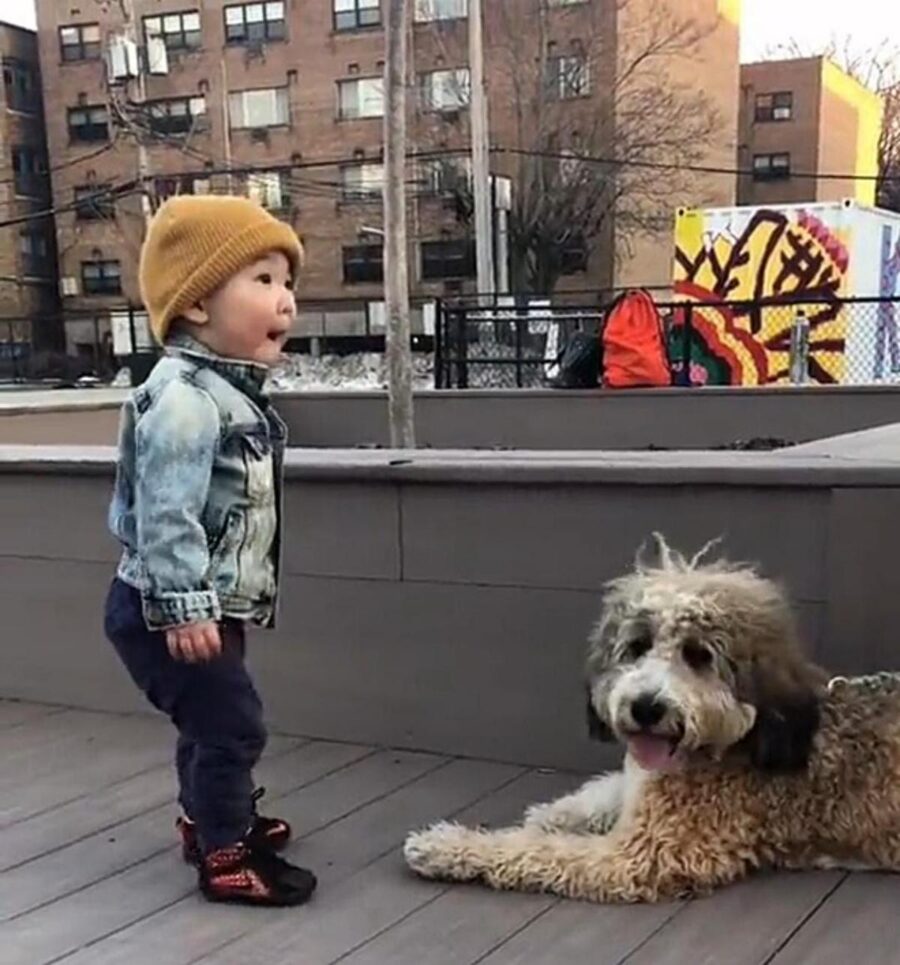 bambino con cane