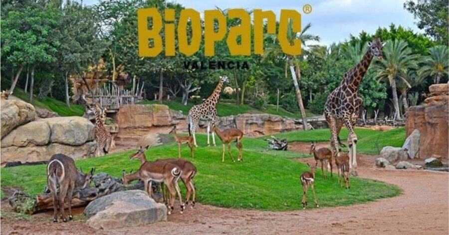 bioparc valencia