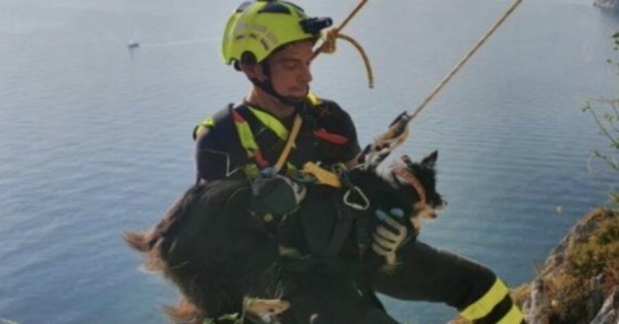 pompiere salva un cane