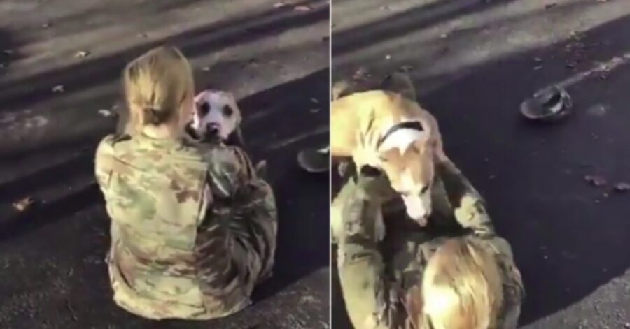 donna rivede il suo cane dopo tanto tempo 