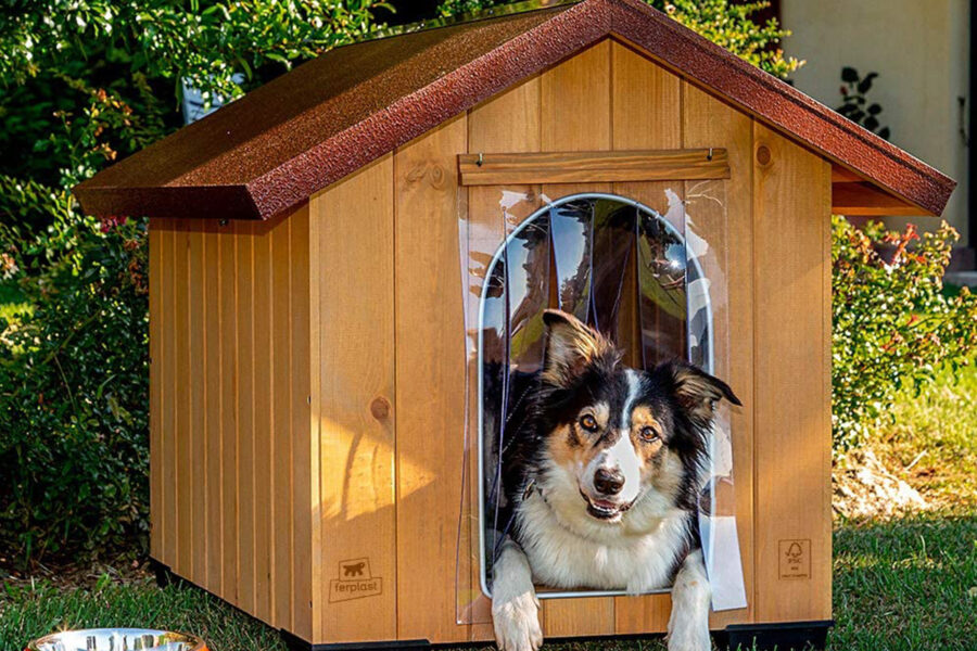 cane nella sua cuccia con porta