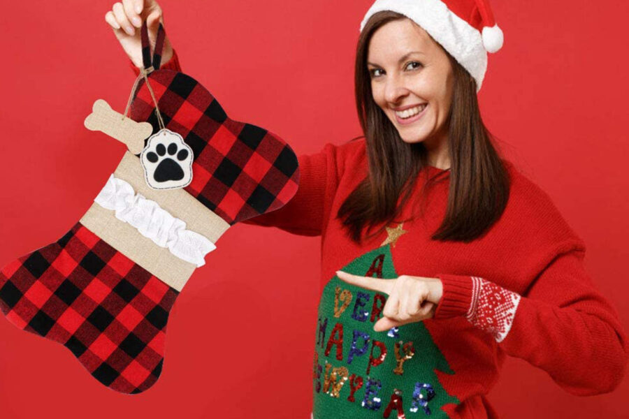 ragazza con calza della befana  per cani