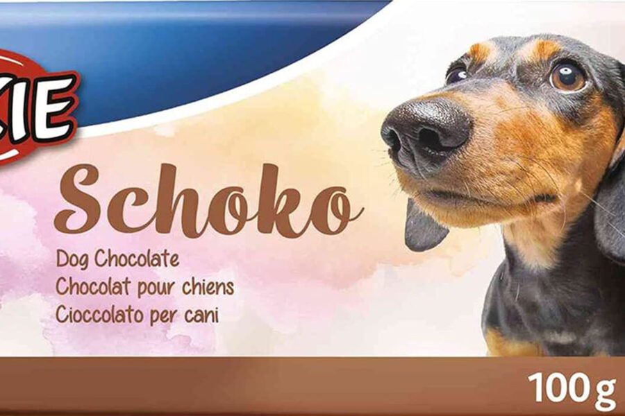 cioccolato per cani
