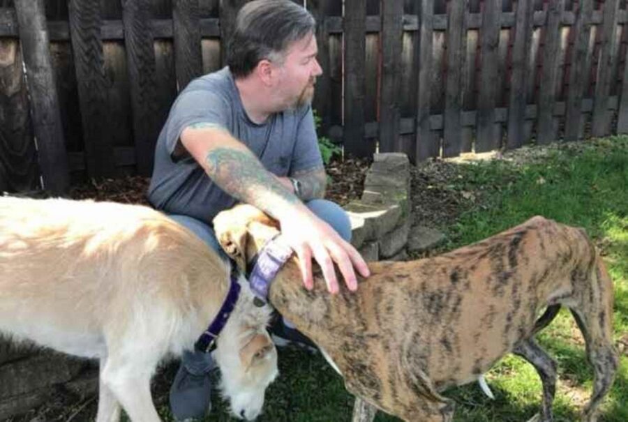 fotografo salva cani da un rifugio