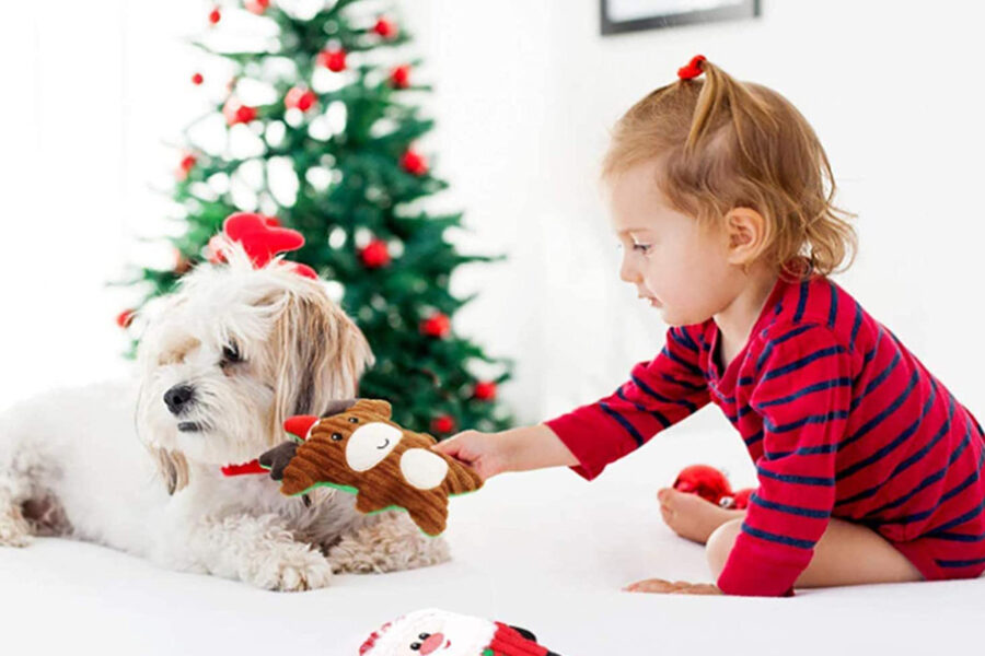 bambina gioca con il suo cagnolino