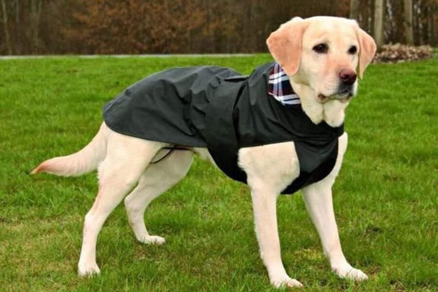 mantella con cappuccio per cane