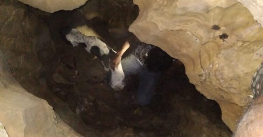cane nella grotta