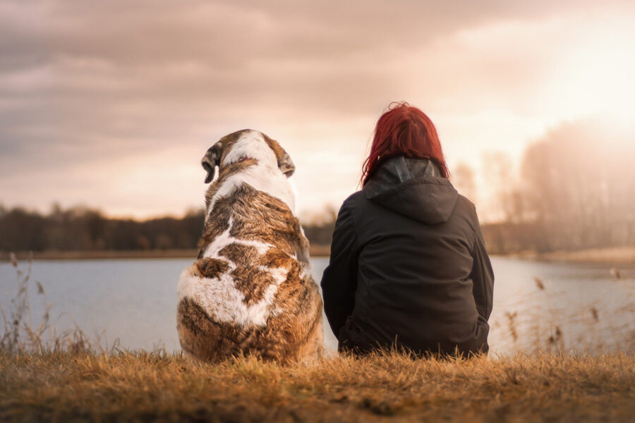 cane e ragazza la lago