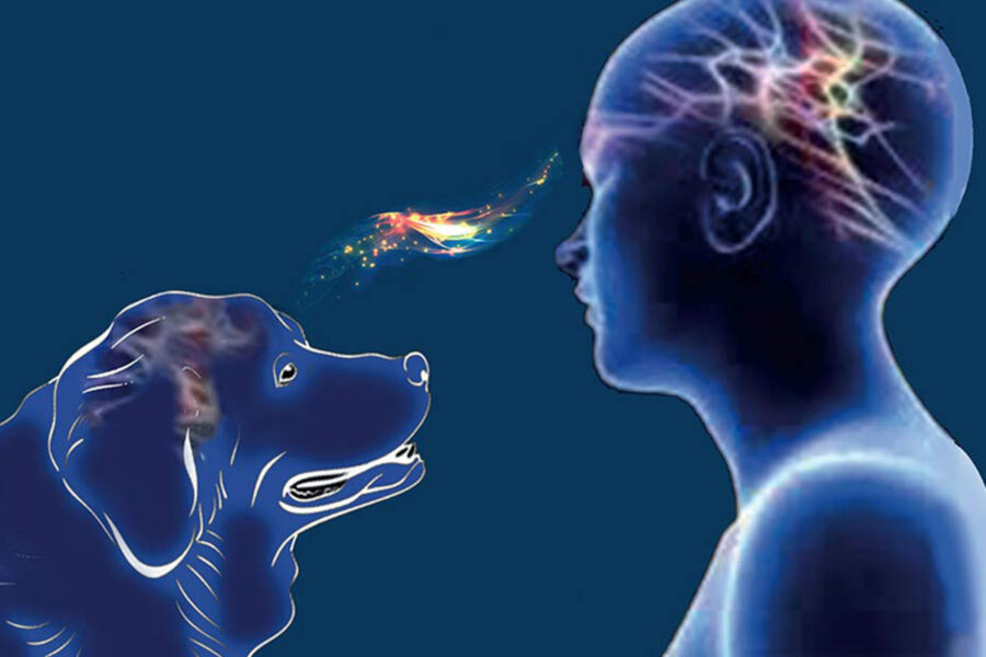legame mentale fra cane e uomo