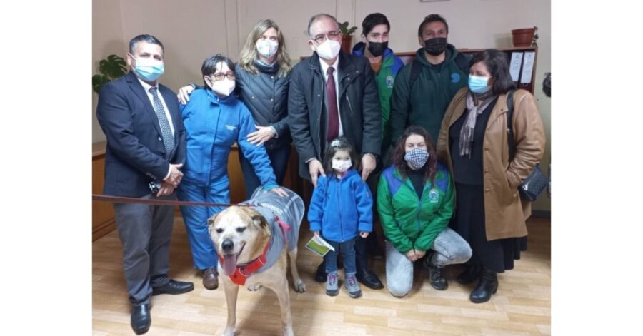 clinica veterinaria osorno