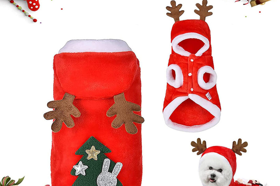 costume natalizio per cane