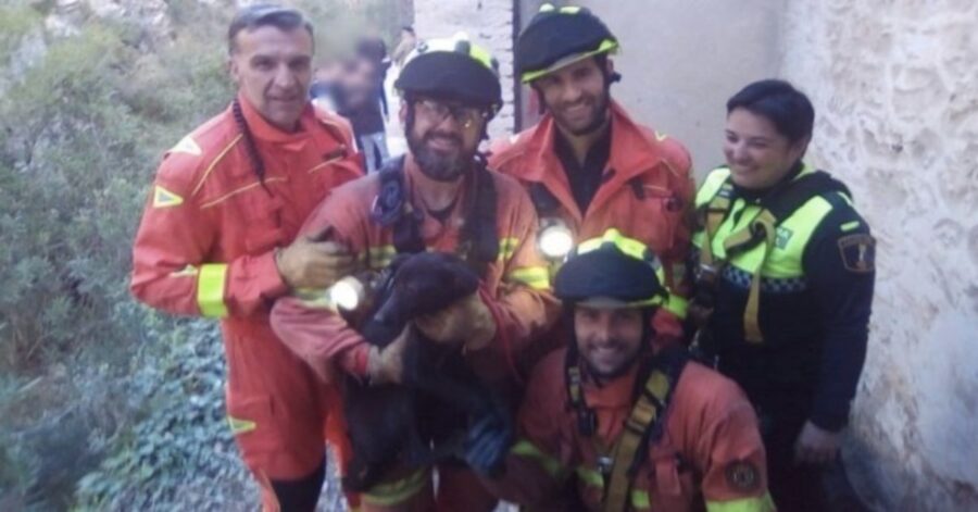 pompieri con cane salvato 