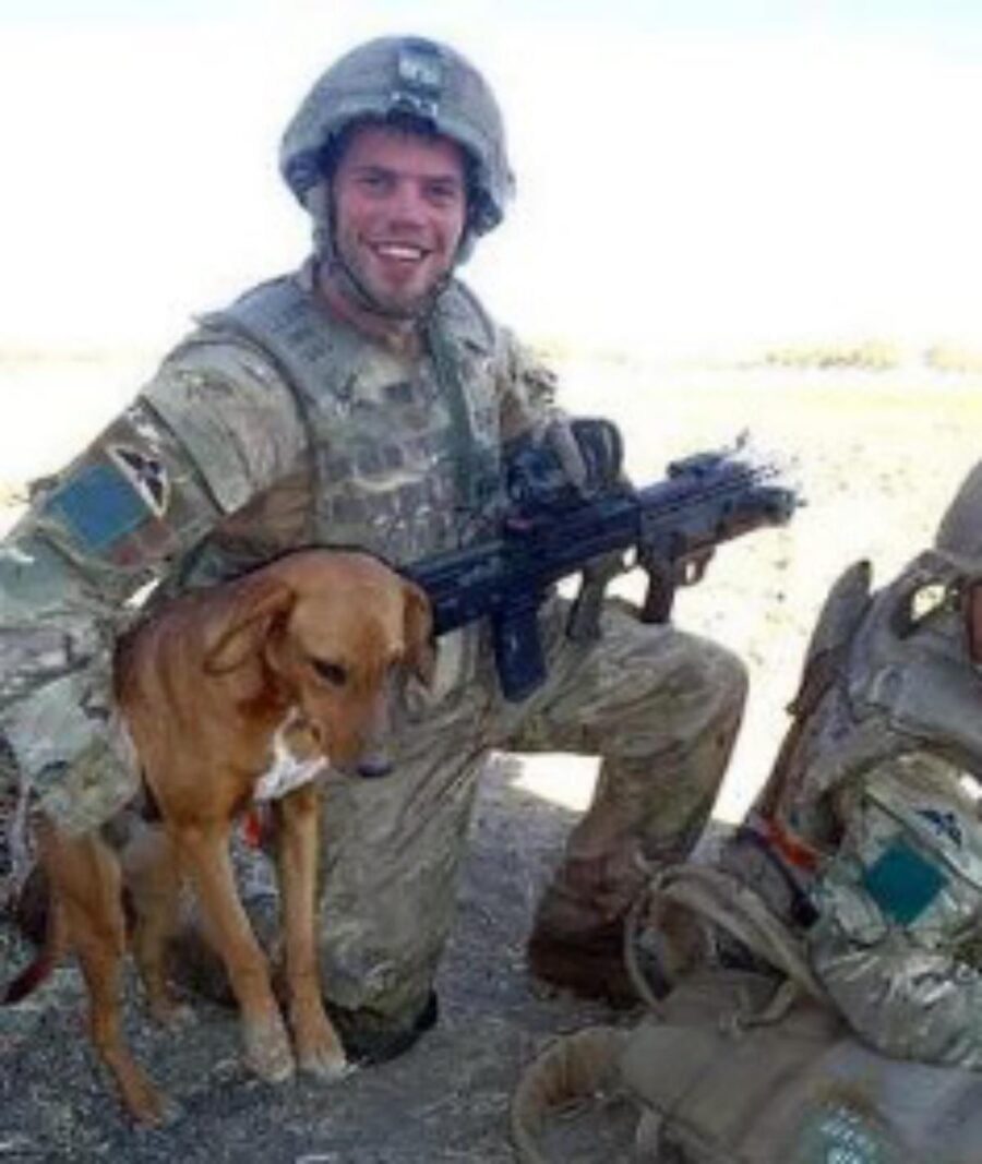 cane amico con soldato