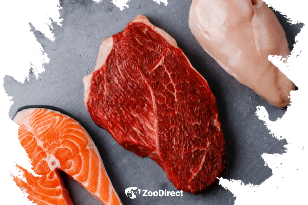 Zoodirect carne