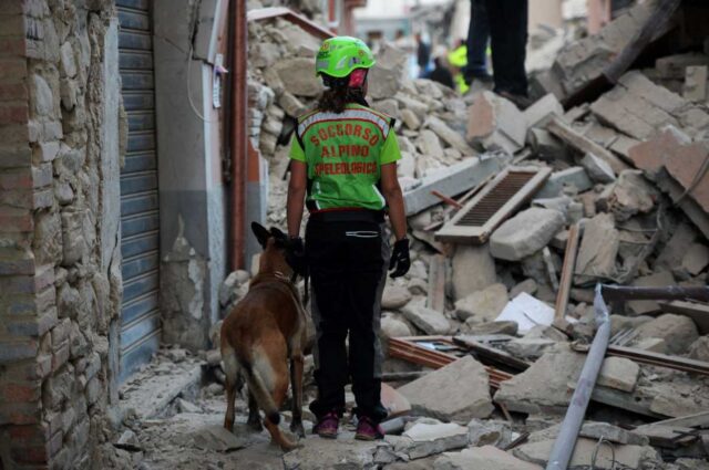 Alcuni cani da soccorso italiani se ne sono andati, e la colpa potrebbe essere dell’amianto