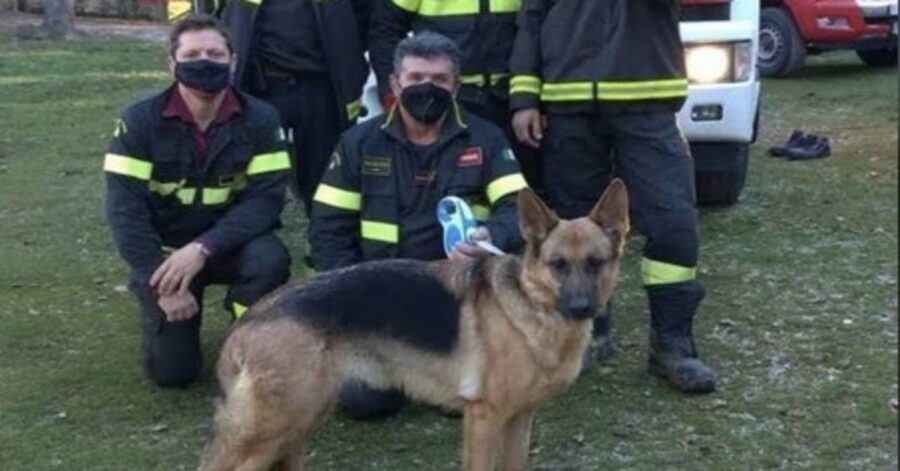 cane con i pompieri che l'hanno salvato