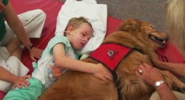 Colonnello, il cane che ha salvato la vita di un bambino
