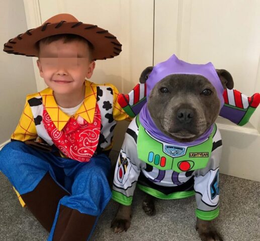 Harley e Ben: la storia di un’amicizia straordinaria tra un cane e il suo padroncino