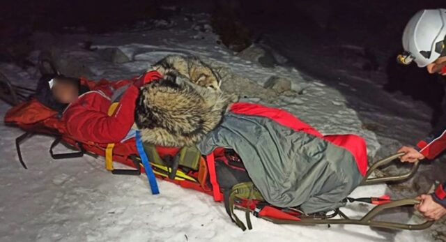 North, l’Alaskan Malamute che ha salvato il suo umano dal congelamento