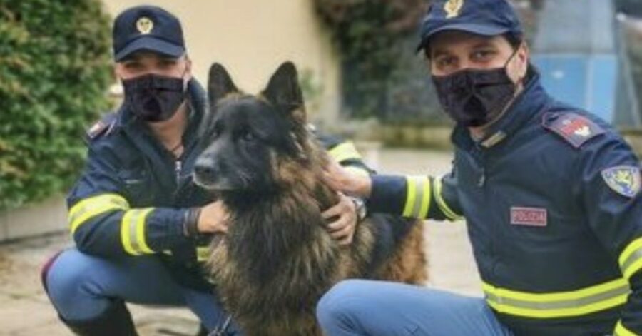 Poliziotti con cane salvato in autostrada