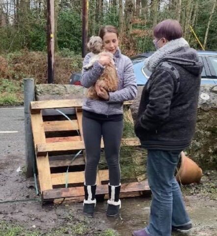 Roxy, il cagnolino scomparso, riabbraccia la sua famiglia dopo 8 anni