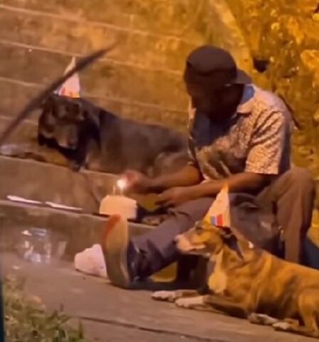 Senzatetto festeggia il compleanno di uno dei suoi cani (VIDEO)