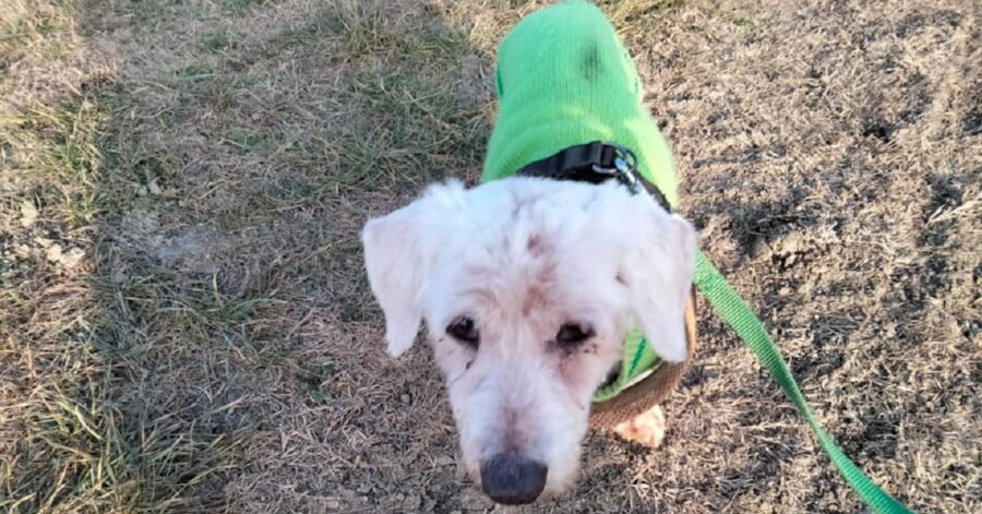 Sissi con il cappottino verde