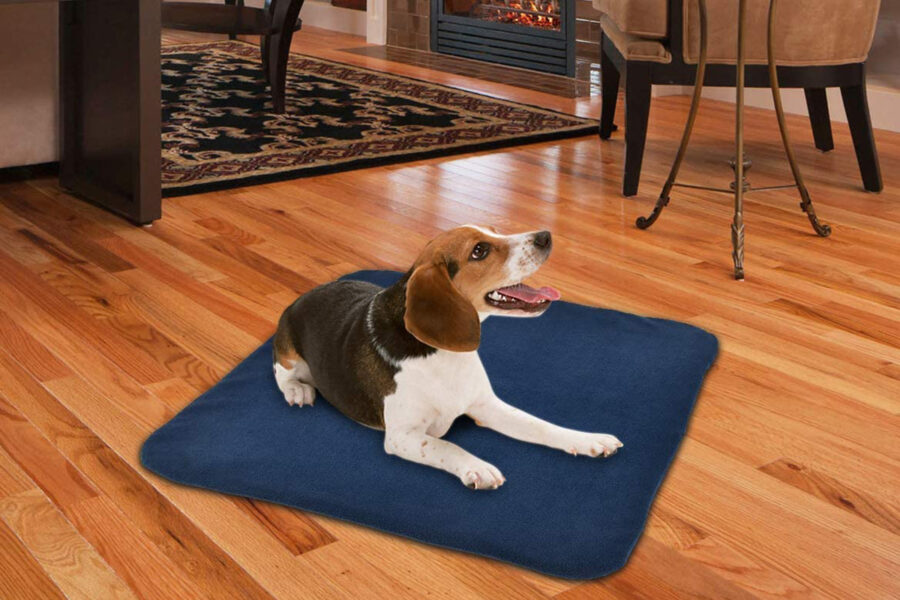 cane che si riposa su tappetino