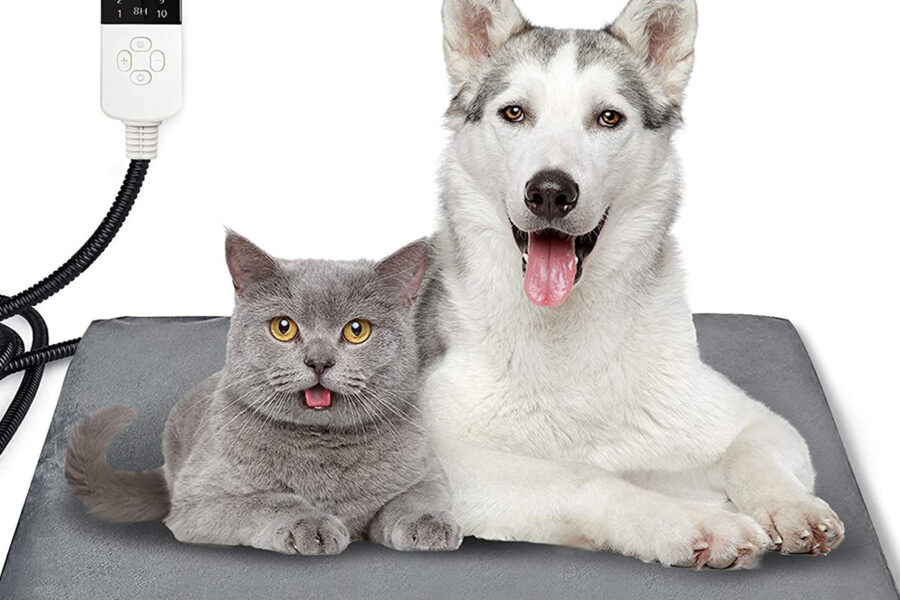 cane e gatto su tappeto che si riscalda con la corrente elettrica