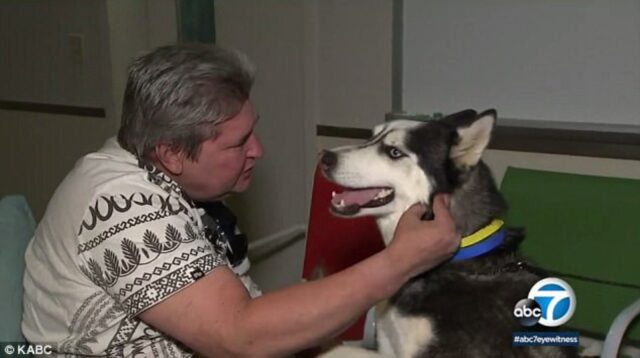 Uomo disabile si riunisce con il cane guida che gli avevano rubato