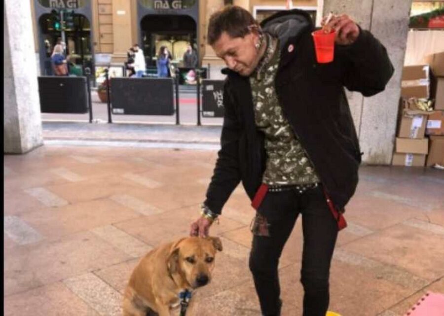 storia di un cane legato a un palo