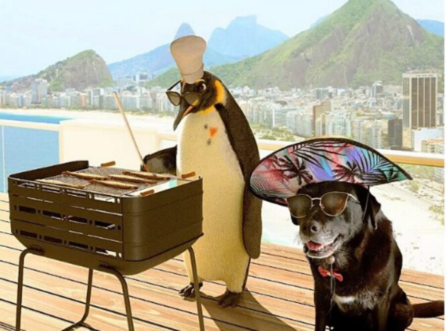 cane fa pubblicità con pinguino mascotte
