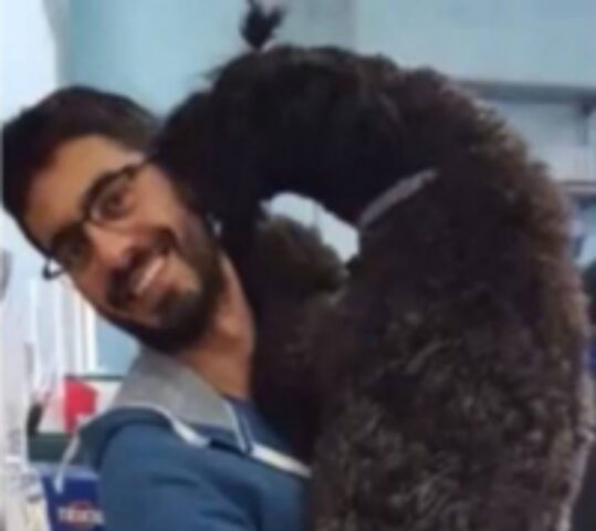 Cucciolo di cane va in arresto cardiaco tempestivo l’intervento
