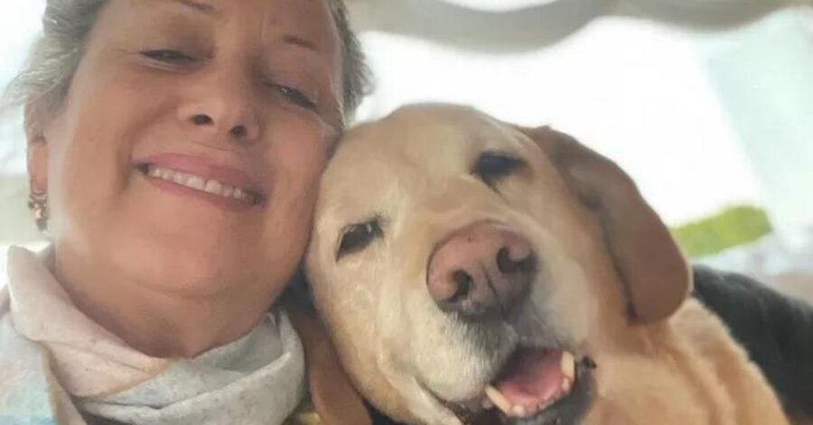 Attimi di paura per Carolyn Smith: “Hanno sparato al mio cane Mikee!”