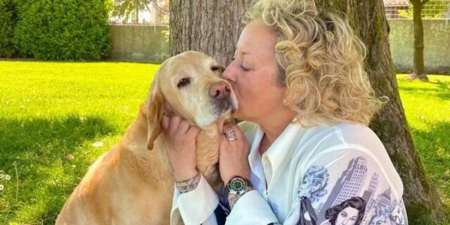 Attimi di paura per Carolyn Smith: “Hanno sparato al mio cane Mikee!”