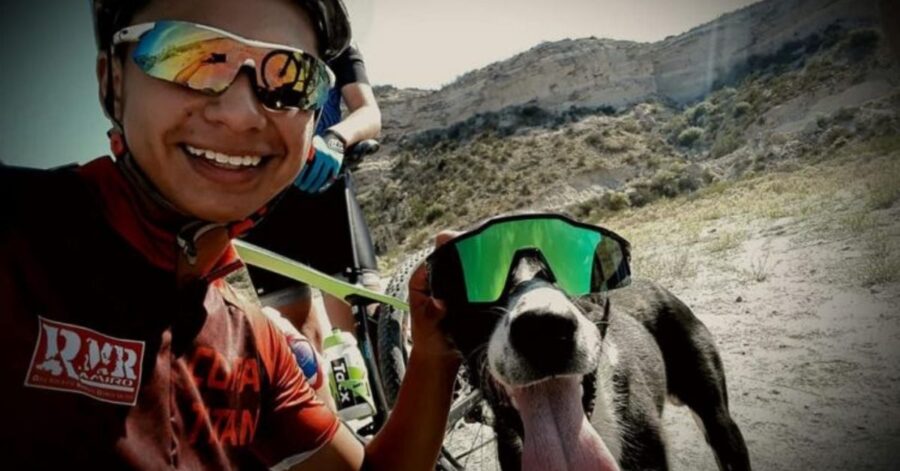 tre ciclisti salvano un cane 