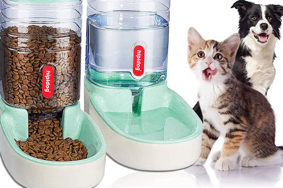 cane e gatto con i loro dispenser 