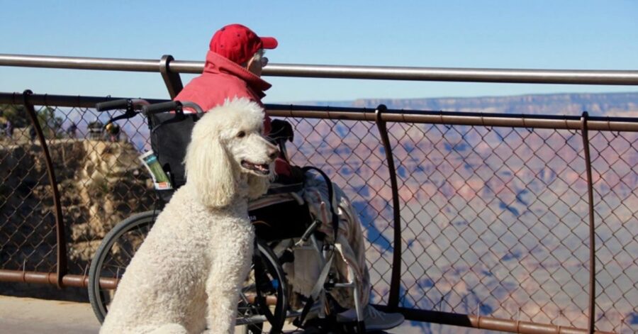 donna di 90 anni viaggia con il suo cane
