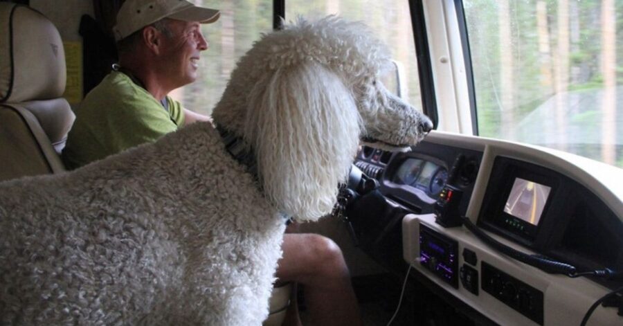 donna di 90 anni viaggia con il suo cane