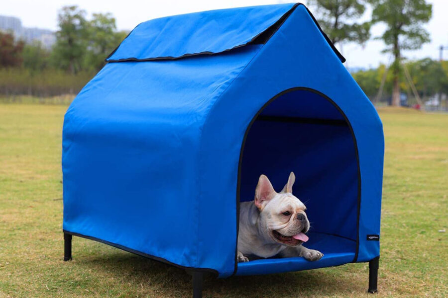 cuccia da giardino per cane