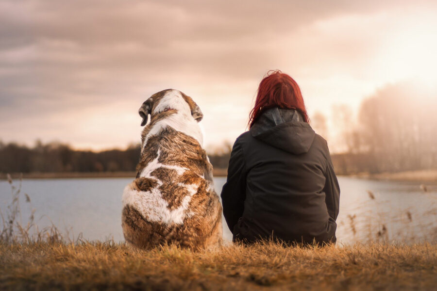 cane e padrona