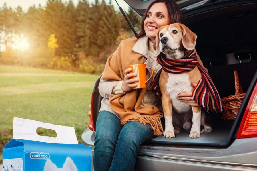 cane in viaggio con la proprietaria