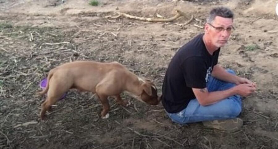 uomo salva cane in un frutteto