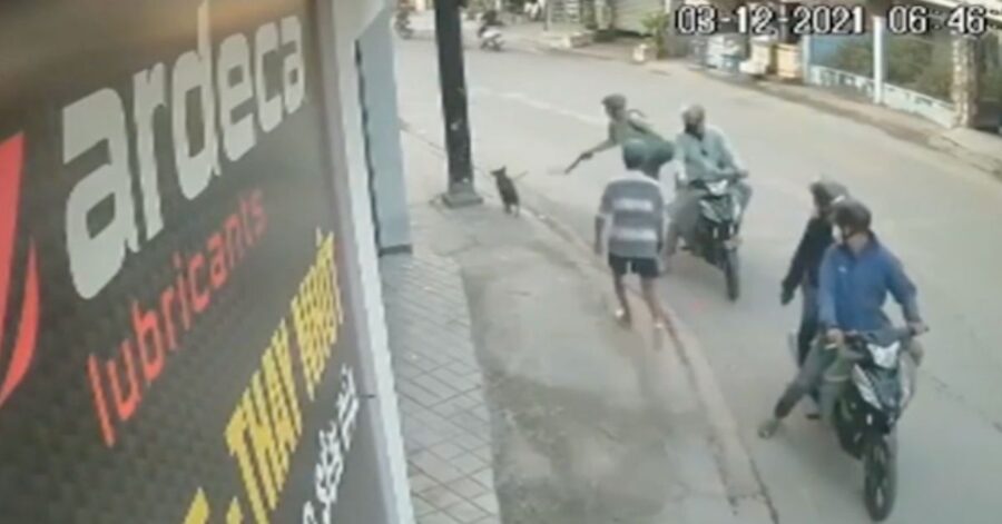 L’incubo dei proprietari in Vietnam: sparano a un cane in strada